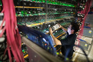 High-Performance Mining Rigs