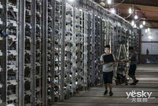 An advanced mining rig setup demonstrating high-yield efficiency and uptime reliability